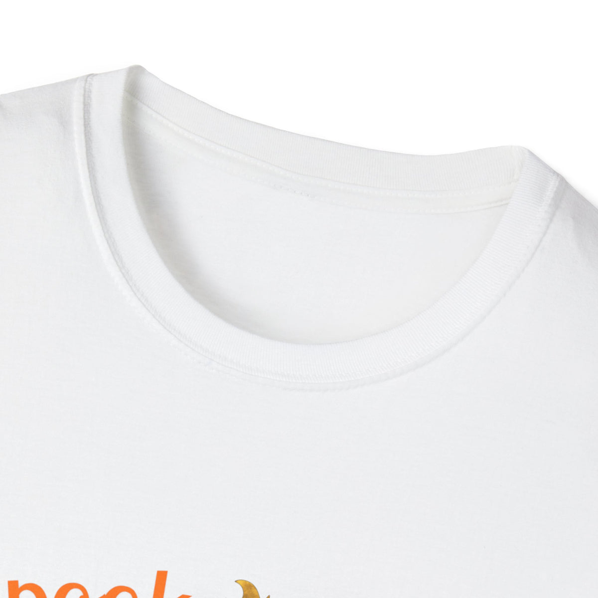 Personalized Boston Terrier Halloween T-Shirt – Custom Pet Name Tee