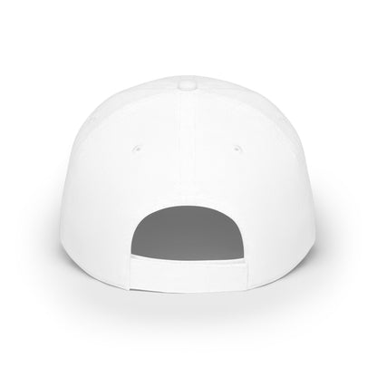 Low Profile Baseball Cap — PET HAT Unisex