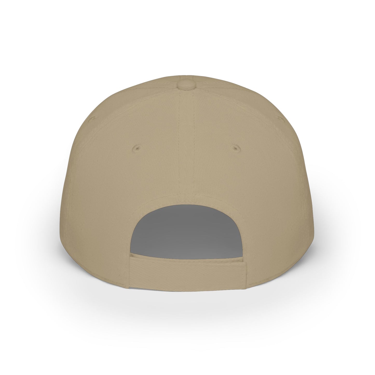 Low Profile Baseball Cap — PET HAT Unisex