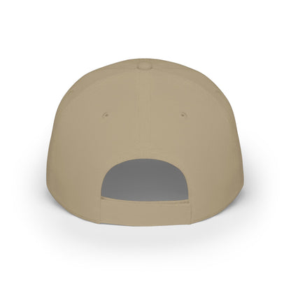 Low Profile Baseball Cap — PET HAT Unisex