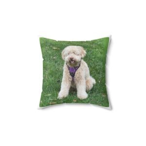 Pillows