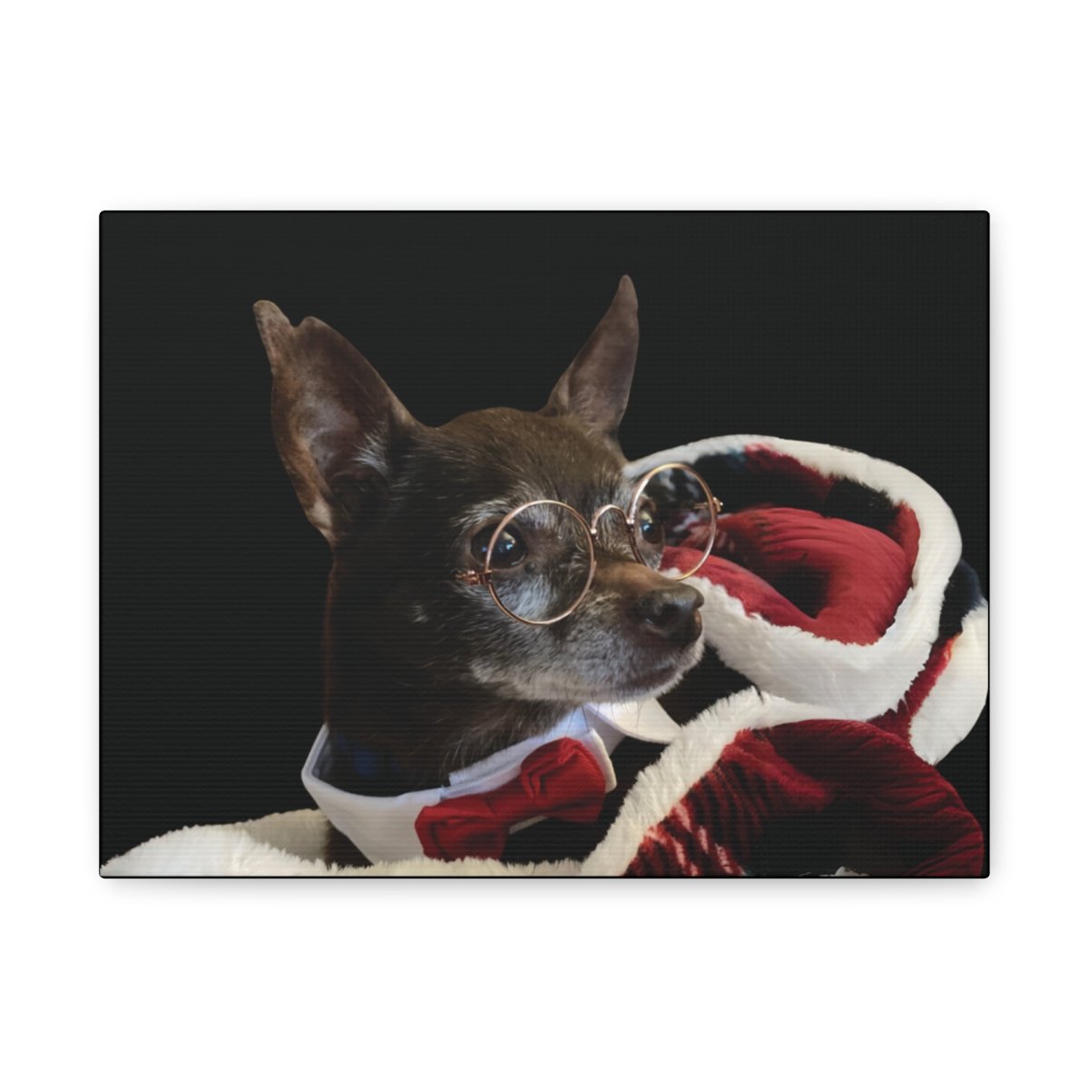 Pet Canvas Art